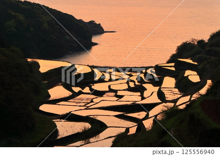 【佐賀県】浜野浦の棚田の夕景 125556940