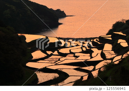 【佐賀県】浜野浦の棚田の夕景 125556941