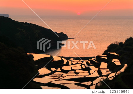 【佐賀県】浜野浦の棚田の夕景 125556943