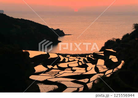 【佐賀県】浜野浦の棚田の夕景 125556944