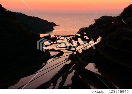 【佐賀県】浜野浦の棚田の夕景 125556946