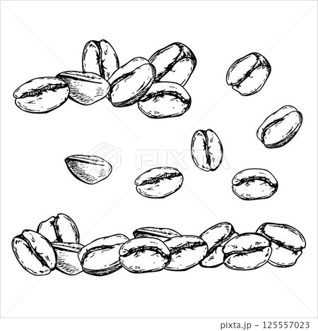 set of two of coffee beans isolated  125557023