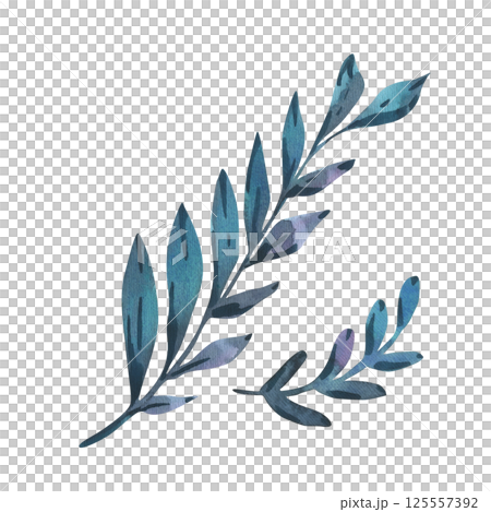 Vibrant watercolor tropical branches with lush leaves, hand-painted as bold silhouettes in juicy hues. Perfect for exotic designs, packaging, and botanical-themed projects. Vibrant watercolor tropical branches with lush leaves, hand-painted as bold silhouettes in juicy hues. Perfect for exotic designs, packaging, and botanical-themed projects. 125557392