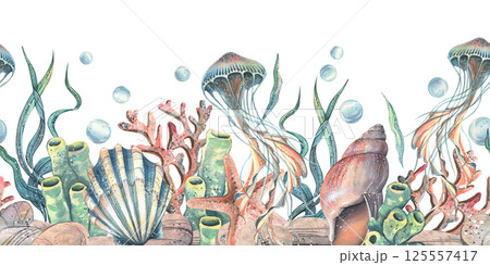Jellyfish, seashells, seaweed, starfish, corals, sea sponges and pebbles, bubbles. Marine, nautical watercolor illustration of the underwater world hand drawn. Seamless pattern horizontal border 125557417