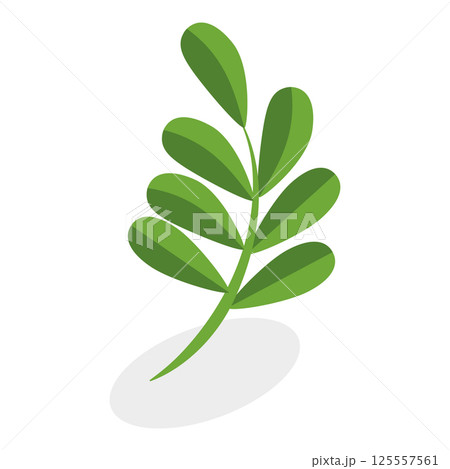 3D Isometric Flat Vector Illustration of Flowers Collection, Set of Various Blooming Plants. Item 2 125557561