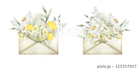 Watercolor wildflowers chamomile, dandelion, yarrow, buttercup and meadow grasses in old vintage envelopes. Field yellow and white flowers hand drawn isolated illustration set for postcards, stickers Watercolor wildflowers chamomile, dandelion, yarrow, buttercup and meadow grasses in old vintage envelopes. Field yellow and white flowers hand drawn isolated illustration set for postcards, stickers 125557857