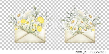 Watercolor wildflowers chamomile, dandelion, yarrow, buttercup and meadow grasses in old vintage envelopes. Field yellow and white flowers hand drawn isolated illustration set for postcards, stickers Watercolor wildflowers chamomile, dandelion, yarrow, buttercup and meadow grasses in old vintage envelopes. Field yellow and white flowers hand drawn isolated illustration set for postcards, stickers 125557857