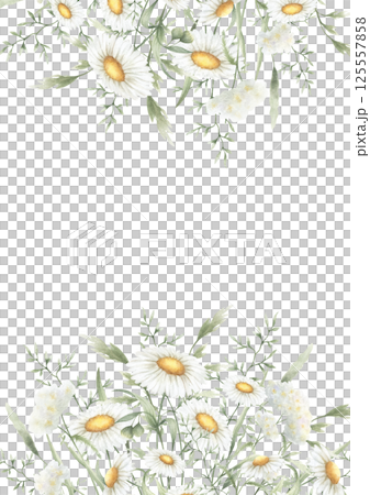 Wildflowers chamomile, yarrow and meadow grasses. Hand drawn isolated watercolor rectangular frame of yellow and white field vintage flowers with copy space for wedding invitation and rustic postcard Wildflowers chamomile, yarrow and meadow grasses. Hand drawn isolated watercolor rectangular frame of yellow and white field vintage flowers with copy space for wedding invitation and rustic postcard 125557858