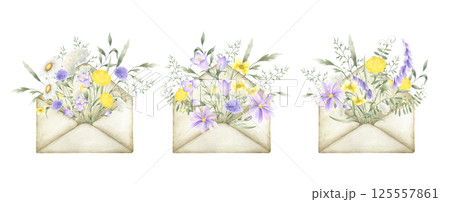 Wildflowers bellflower, chamomile, dandelion, mouse pea, buttercup, yarrow and meadow grass in old vintage envelope. Watercolor field yellow, lilac, white flowers hand drawn isolated illustration set Wildflowers bellflower, chamomile, dandelion, mouse pea, buttercup, yarrow and meadow grass in old vintage envelope. Watercolor field yellow, lilac, white flowers hand drawn isolated illustration set 125557861