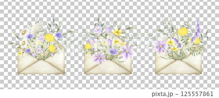 Wildflowers bellflower, chamomile, dandelion, mouse pea, buttercup, yarrow and meadow grass in old vintage envelope. Watercolor field yellow, lilac, white flowers hand drawn isolated illustration set Wildflowers bellflower, chamomile, dandelion, mouse pea, buttercup, yarrow and meadow grass in old vintage envelope. Watercolor field yellow, lilac, white flowers hand drawn isolated illustration set 125557861