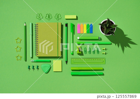 Flat lay of green stationery set including notebook, pens, pencil, ruler, sticky notes, paper clips, push pins, eraser, and small potted plant on bright green background 125557869