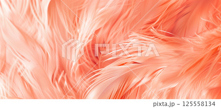 Close-up abstract macro of trendy peach feather texture, apricot fluffy backdrop 125558134