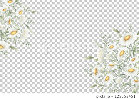 Wildflowers chamomile, yarrow and meadow grasses. Hand drawn isolated watercolor rectangular frame of yellow and white field vintage flowers with copy space for invitations, postcards, wedding design 125558451