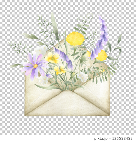 Watercolor wildflowers dandelion, mouse pea, buttercup, yarrow and meadow grasses in old vintage envelope. Field yellow, lilac, white flowers hand drawn isolated illustration for postcards, stickers Watercolor wildflowers dandelion, mouse pea, buttercup, yarrow and meadow grasses in old vintage envelope. Field yellow, lilac, white flowers hand drawn isolated illustration for postcards, stickers 125558455