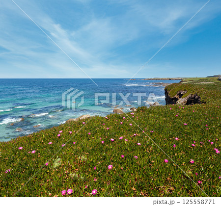 Atlantic blossoming coastline (Spain). 125558771