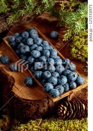 Blueberries in a wooden dish on a pine stump. 125558975
