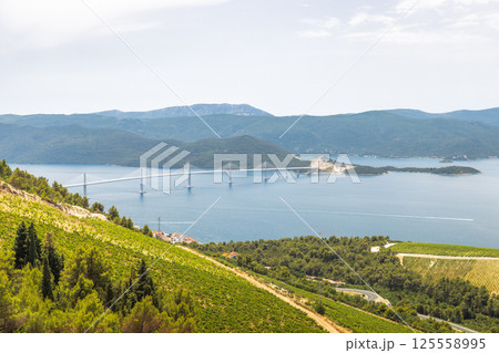 The sea coast of southern Dalmatia in Croatia, Europe. A stunning view of a modern bridge spanning a bay with rolling hills, lush greenery, and clear skies. A scenic landscape. The sea coast of southern Dalmatia in Croatia, Europe. A stunning view of a modern bridge spanning a bay with rolling hills, lush greenery, and clear skies. A scenic landscape. 125558995