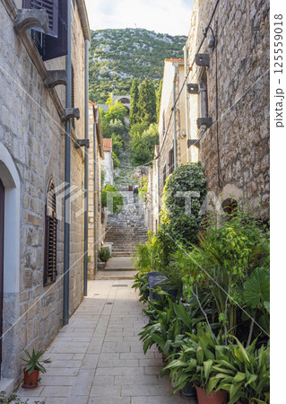 Ston, historic town in Peljesac peninsula in Croatia, Europe. Stone alleyway leading to steps with mountain view. Quaint, peaceful street scene. Historic architecture, lush greenery. Ston, historic town in Peljesac peninsula in Croatia, Europe. Stone alleyway leading to steps with mountain view. Quaint, peaceful street scene. Historic architecture, lush greenery. 125559018