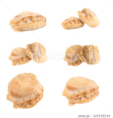 Oyster meat isolated on white background 125559134