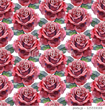 Seamless floral pattern with of red roses. Hand drawn illustration. 125559169