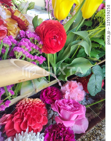 勝林寺 勝林寺 125559258