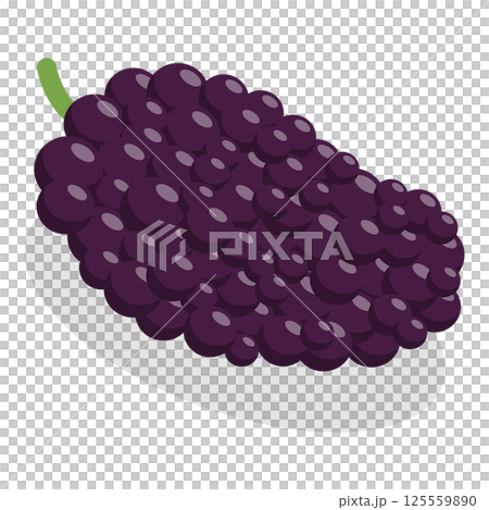 3D Isometric Flat  Set of Berries. Item 4 125559890