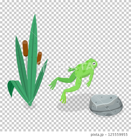 3D Isometric Flat  Set of Cartoon Frogs. Item 2 125559955