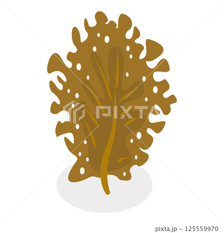 3D Isometric Flat  Set of Seaweeds. Item 2 125559970