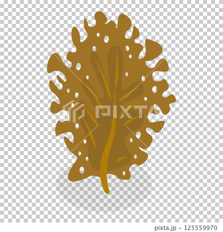 3D Isometric Flat  Set of Seaweeds. Item 2 125559970
