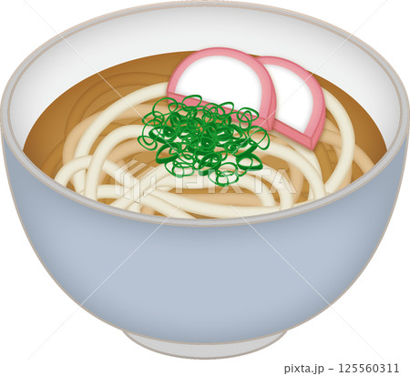 シンプルな具材のうどん 125560311