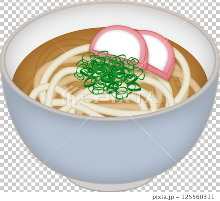シンプルな具材のうどん 125560311