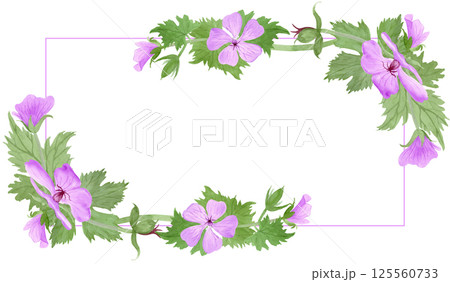 Rectangle frame with light purple geranium maculatum flowers and leaves by watercolor 125560733