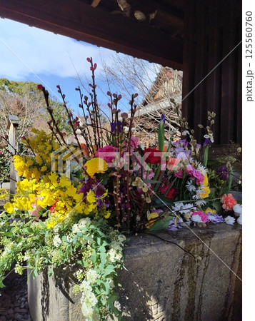 勝林寺 125560760