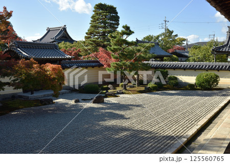 秋の等持院　方丈南庭(京都市北区) 125560765
