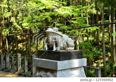 埼玉県寄居町風布の姥宮（とめみや）神社 125560902