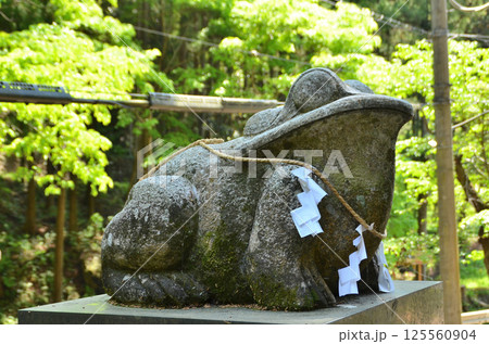 埼玉県寄居町風布の姥宮（とめみや）神社 125560904