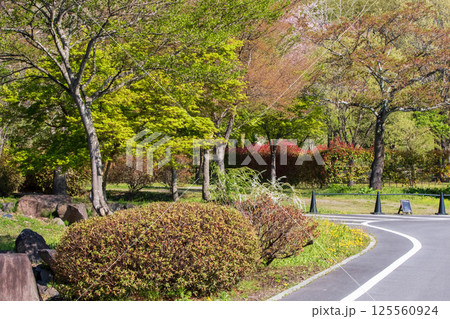 春の中之条ガーデンズ 125560924