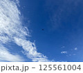 青空と白い雲とDJI TELLO 125561004