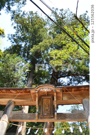 埼玉県寄居町風布の姥宮(とめみや)神社の鳥居 埼玉県寄居町風布の姥宮(とめみや)神社の鳥居 125562036
