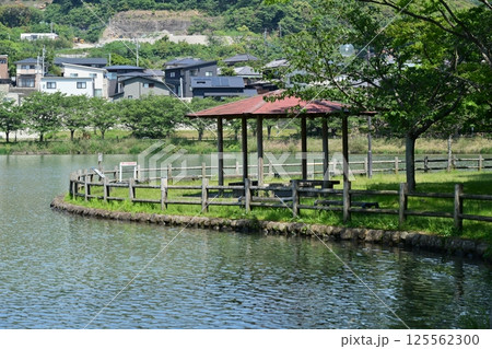 池田湖公園/Ikeda lake(長崎県大村市) 池田湖公園/Ikeda lake(長崎県大村市) 125562300