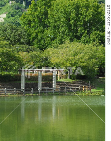 池田湖公園/Ikeda lake(長崎県大村市) 池田湖公園/Ikeda lake(長崎県大村市) 125562310