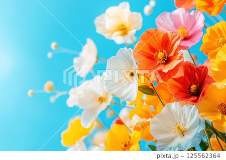 Beautiful wildflowers bloom vibrantly against a sunny blue sky in a close up view 125562364