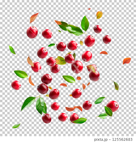 Falling cranberries with green and autumn leaves isolated on a transparent background. Red glossy berries and scattered foliage in floating composition for food, packaging, and design projects. 125562683