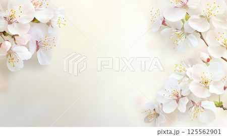 Beautiful white spring flowers create a delicate frame on a soft, creamy background, offering ample copy space for text or design elements, evoking a sense of freshness and renewal 125562901