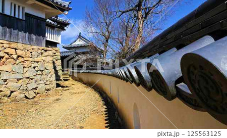 備中松山城本丸二重櫓と土塀 備中松山城本丸二重櫓と土塀 125563125