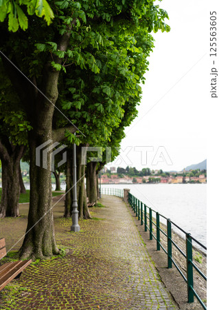 Tree-Shaded Bench Overlooking Scenic Lakeside View 125563605