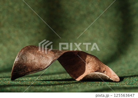 Curved Piece of Natural Bark on Green Background 125563647