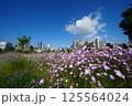 花と公園 125564024