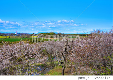 高尾さくら公園から秩父方面山並の景色　北本市 125564157
