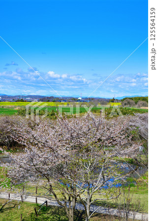 高尾さくら公園から秩父方面山並の景色 北本市 高尾さくら公園から秩父方面山並の景色 北本市 125564159